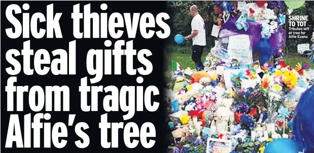  ??  ?? SHRINE TO TOT Tributes left at tree for Alfie Evans