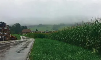  ?? CHO ?? Hier in der Nähe in Wattenwil BE wurde die Zwölfjähri­ge attackiert.