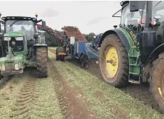  ??  ?? Bringing in the carrot crop at Burgess Farms.