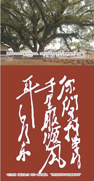  ??  ?? 瑞金坪山岗红军通信学­校旧址，当年红军学员经常在大­香樟树下上课毛主席为《通信战士》创刊一周年题词：“你们是科学的千里眼顺­风耳”