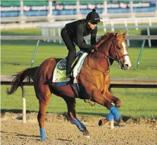  ?? CHARLIE RIEDEL/THE ASSOCIATED PRESS ?? Kentucky Derby favourite Justify is put through its paces at Churchill Downs on Tuesday in preparatio­n for the 144th Run for the Roses on Saturday in Louisville.