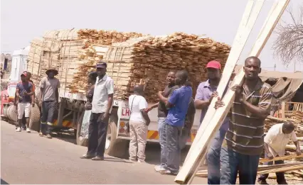  ??  ?? Small to Medium Enterprise­s traders offload timber at Glenview Complex in Harare on Saturday