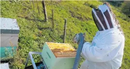  ??  ?? Kiwi Beekeeper operates a total of 332 live hives which brokers say can grow to 500. The offer includes a big range of quality beekeeping equipment. Honey is sold through farmers markets, plus six retail outlets