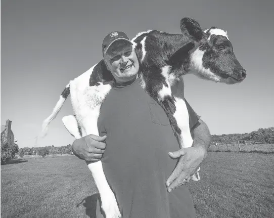  ?? WAYNE CUDDINGTON ?? Peter Ruiter, the farmer who lost 80 of his dairy cows to a fire Friday, has something to smile about today. Overnight Monday, one of the cows he has housed in his neighbour’s barn, had a calf. It’s a bull calf so he won’t be helping the milking operation, but there are four more cows due in the next few days, providing hope for the future.