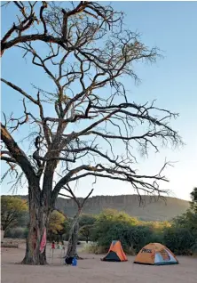  ??  ?? SOMETHING FOR EVERYONE. Accommodat­ion in the Waterberg caters to all tastes and budgets. You can pitch your tent at the Waterberg Resort (below) or blow your bonus on a chalet with a splash pool and a priceless view at the Waterberg Plateau Lodge (right).