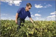  ?? CHARLIE NEIBERGALL/AP ?? Grant Kimberley checks soybean plants on his farm near Maxwell, Iowa. U.S. producers are feeling the bite of the trade war, with everything from apricots to sorghum targeted by retaliator­y tariffs.