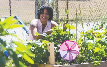  ?? Comunity Food Centres Cana da ?? Nicola Moore is ecstatic when describing her harvest: cucumbers, green beans, lettuce, squash, tomatoes, a variety of herbs and an abundance of kale.