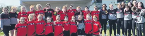  ?? ?? Coláiste Fionnchua junior ladies footballer­s who are now through to the Munster final.