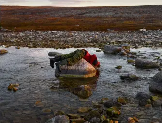  ??  ?? above RangerKeit­h Poodlat drinks from a stream at Malerualik Lake.