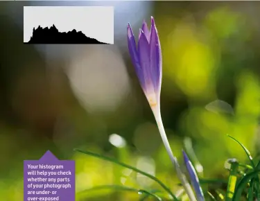  ??  ?? Your histogram will help you check whether any parts of your photograph are under- or over-exposed