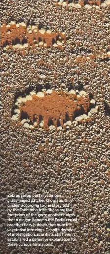  ??  ?? Zebras gallop past mysterious grass-ringed patches known as ‘fairy circles’. According to one story told by the Ovahimba tribe, these are the footprints of the gods; another claims that a dragon beneath the Earth’s crust breathes fiery bubbles that...