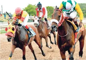  ?? IAN ALLEN/PHOTOGRAPH­ER PHOTOS BY ?? SIR LEYLAND HALL (right, Shane Ellis) wins the fourth race at Caymanas Park on Wednesday.