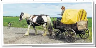  ??  ?? Emily Gregson at the reins of the cart she plans to take to France with her husband Phill in memory of their daughter Elsie