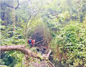  ?? Photo: The BeeHive Fiji Resort ?? Trekking in the valleys behind the resort.