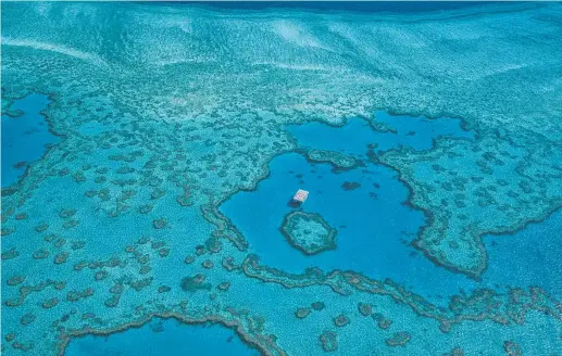  ?? ?? A reader doubts the Great Barrier Reef is threatened.
Picture: Reuben Nutt