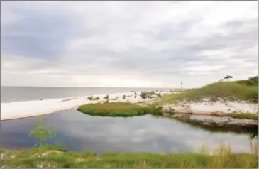  ?? ROBERT RAUSCH/THE NEW YORK TIMES ?? The north shore of Horn Island in Mississipp­i, on May 30.