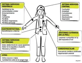  ?? Alnylam© ?? La por ria aguda hepática generalmen­te causa episodios de dolor abdominal intenso y sin causa aparente, junto con uno o más de los síntomas que vemos en el grá co.