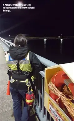  ??  ?? A MarineWatc­h volunteer keeping watch from Wexford Bridge.