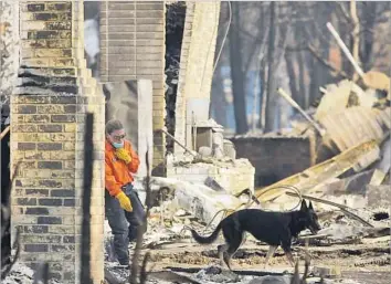  ?? Genaro Molina Los Angeles Times ?? A MEMBER of the Sonoma County Search and Rescue Team follows a cadaver dog in search of a possible victim of the wine country wildfires in the Mark West Springs area of Santa Rosa, Calif.