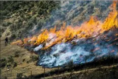  ?? RICK EGAN/THE SALT LAKE TRIBUNE VIA AP, FILE ?? In this 2018 file photo, firefighte­rs control the Tollgate Canyon fire as it burns near Wanship, Utah. The Trump administra­tion is proposing an ambitious plan to slow Western wildfires by bulldozing, mowing or revegetati­ng large swaths of land along 11,000 miles of terrain in the West. The plan announced this summer would create strips of land known as “fuel breaks” in parts of Idaho, Oregon, Washington, California, Nevada and Utah.