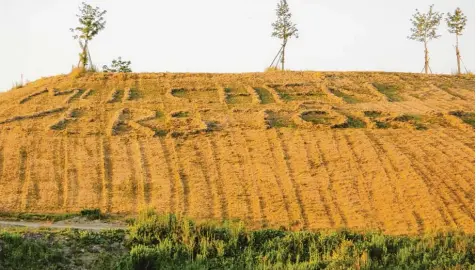  ?? Foto: Ernst Haile ?? Auf die negativen Seiten des Mulchens weist eine Aktion am Hang der Mülldeponi­e Friedberg hin.