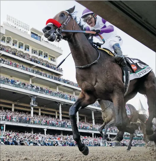  ?? — THE ASSOCIATED PRESS ?? Mario Gutierrez rides Nyquist to a comfortabl­e victory at the Kentucky Derby on Saturday afternoon.