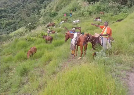  ?? Photo: Ministry of Forestry ?? At the forefront of the Fiji national REDD+ programme is the aim to strengthen the livelihood­s and resilience of Fijian communitie­s.