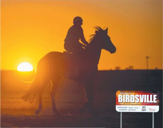  ?? Picture: HEIDI SMITH ?? Fratello doing early-morning trackwork at Birdsville ahead of the iconic Outback town’s races.