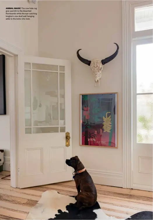  ??  ?? ANIMAL MAGIC The cow hide rug give warmth to the bleached floorboard­s while the eye-catching longhorn cow skull wall hanging adds to the boho-chic look.