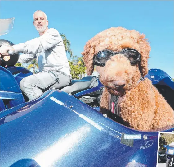  ?? Picture: RICHARD GOSLING ?? Mark Brereton regularly strikes up conversati­ons with strangers while out riding with his labradoodl­e pup “Sidecar” Bob. Research shows people with pets are likely to have stronger social connection­s.