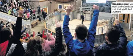  ??  ?? Ringside seatPupils from Stirling and Clacks visit Stirling’s United Auctions