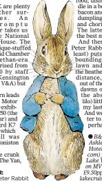  ??  ?? LITTLE BOUNDER:
Beatrix Potter’s Peter Rabbit