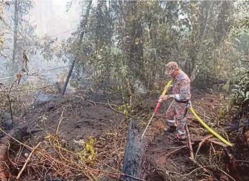  ??  ?? ANGGOTA bomba mengawal kebakaran hutan tanah gambut di Bandar Nusaputra.