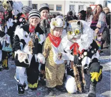  ?? ARCHIVFOTO: MUSOLF ?? Die Katzenzunf­t steht in den Startlöche­rn.