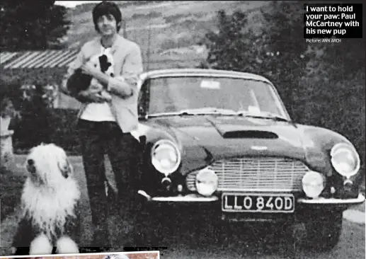  ?? Picture: ANN ARCH ?? I want to hold your paw: Paul McCartney with his new pup
