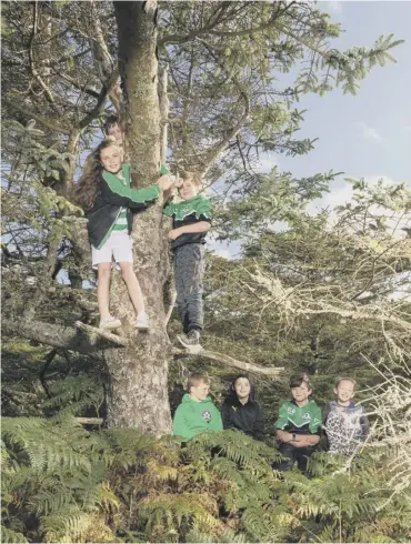  ??  ?? 0 Youngsters show their appreciati­on of Netty’s Tree on the Isle of Eriskay, a tree of the year finalist