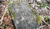  ?? CUYAHOGA FALLS HISTORICAL SOCIETY ?? A gravestone for Thadius J. Peck (1711-1781) has been discovered along the banks of the Cuyahoga River in Cuyahoga Falls.