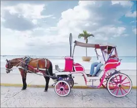  ??  ?? H O R S E - D R AW N carriage rides have normally drawn visitors to Cozumel’s seaside drive, but hotels and beaches have emptied in recent days amid the outbreak.