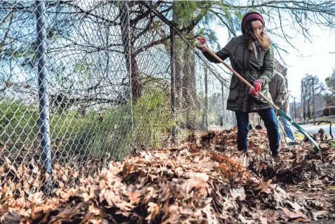  ?? ARIEL COBBERT / THE COMMERCIAL APPEAL ?? Elmwood Cemetery volunteer Alaina Marti uses a rake to help spruce up Walker Avenue during MLK Days of Service in Memphis on Jan. 20, 2020. Due to the pandemic, this year's Days of Service will include in-person and virtual opportunit­ies.