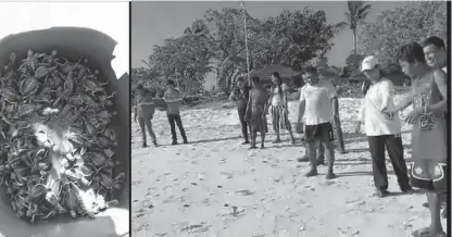  ??  ?? Resident volunteer in releasing sea turtle hatching in Pag-asa Island