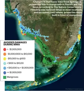  ??  ?? Changes in Hurricane Irma flood damage to properties due to mangroves in Florida and the Keys, according to The Nature Conservanc­y. Flooding was reduced (blue) in most locations and increased (red) where properties were built in front of mangroves