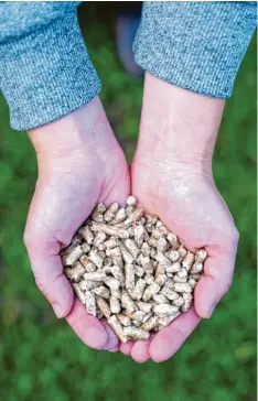  ?? Foto: Florian Schuh, dpa ?? Pellets zum Heizen werden aus getrocknet­en, nicht behandelte­n Holzresten gemacht, die etwa in Sägewerken anfallen.