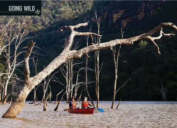  ??  ?? Paddling through drowned eucalypts from the 1970s Tallowa Dam constructi­on is an eerie experience.