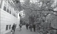  ?? CHEN YEHUA / XINHUA ?? Students cycle at Peking University in Beijing.