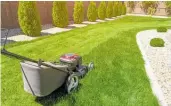  ??  ?? Start mowing regularly to encourage the vigorous and healthy grass growth.