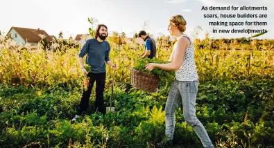  ?? ?? As demand for allotments soars, house builders are making space for them in new developmen­ts