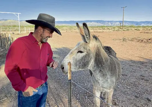  ?? Morgan Lee, The Associated Press ?? Otero County Commission­er Couy Griffin, the founder of Cowboys for Trump, cares for a donkey named Henry outside his home in Tularosa, N.M., on May 12.