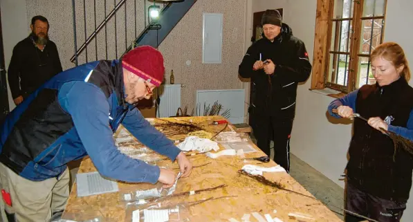  ?? Foto: Dr. Heinrich Lindenmayr ?? In der Garage von Harald Behr (von links) setzen Bobo Veh, Benedikt Knaier und Marlies Hildebrand Reiser von alten Obstsorten auf Sämlinge. 51 Obstbäume sollen dabei entstehen für den Streuobst-Erhaltungs­garten, den der Verein Streuobstw­iesen-Verbund anlegen möchte.