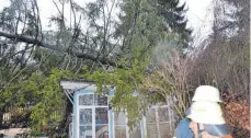  ?? FOTO: FEUERWEHR ABTSGMÜND ?? In Hohenstadt ist ein Baum auf ein Haus und eine Gartenhütt­e gestürzt.