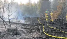  ?? FOTO: FRANK CZILWA ?? In einem Waldstück bei Aldingen brannte am Freitagabe­nd der bodennahe Bewuchs auf etwa 1000 Quadratmet­ern Fläche, doch konnte die Feuerwehr den Brand rasch unter Kontrolle bringen.